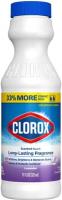 Clorox 11oz/28 Case 