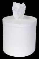 Center Pull Paper Towel (6/case)